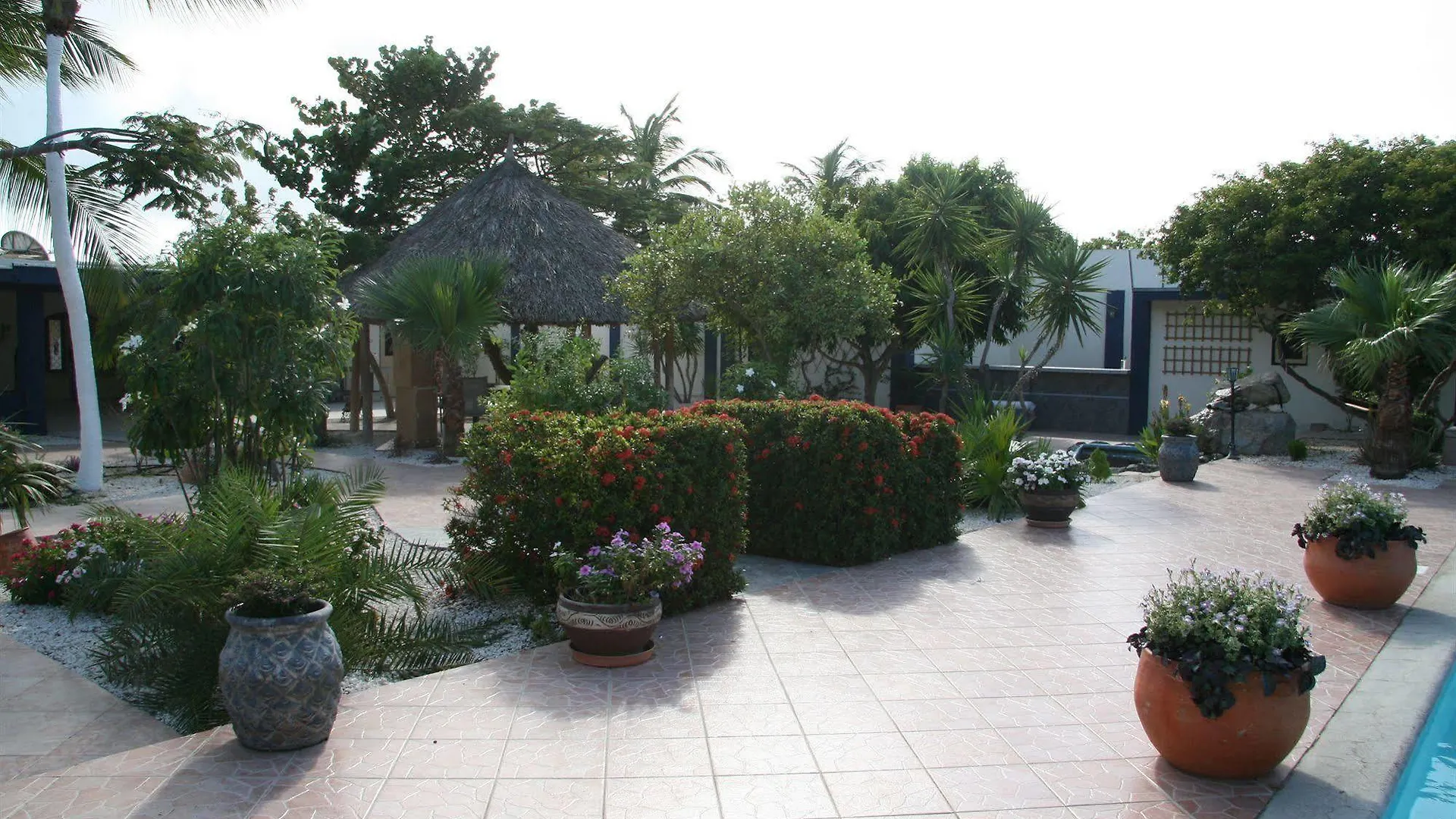 Club Arias Bed & Breakfast Savaneta
